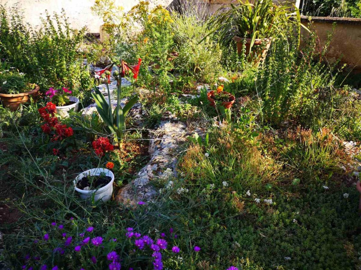 דירות וינקורן Sunset View מראה חיצוני תמונה